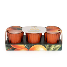 Load image into Gallery viewer, Set of 3 Votives - Mandarin & Orange Blossom 6PK