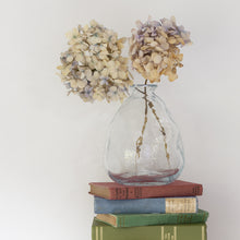 Load image into Gallery viewer, Glass Vase Clear Wobble