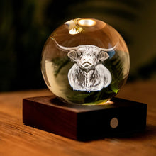 Load image into Gallery viewer, Amber Crystal Light