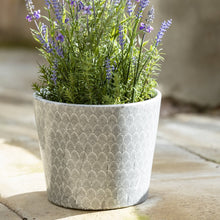 Load image into Gallery viewer, Old Style Dutch Pot Extra Large Faded Black