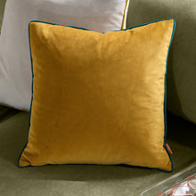 Load image into Gallery viewer, Meridian Velvet Cushion 55x55