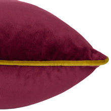 Load image into Gallery viewer, Meridian Velvet Cushion 55x55