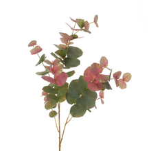 Load image into Gallery viewer, Faux Blush Eucalyptus