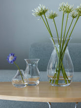 Load image into Gallery viewer, Flower Sprig Vase H11cm Clear