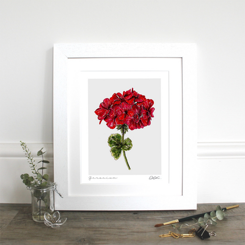 Geranium Fine Art Print