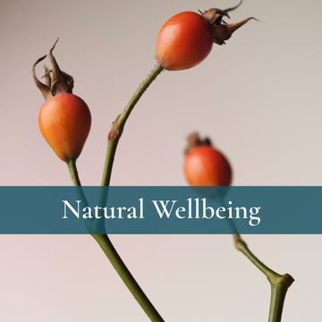 Natural Wellbeing at Little Gems Wellbeing, Long Melford, Suffolk