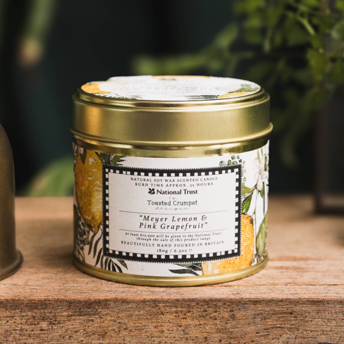 Meyer Lemon & Pink Grapefruit Candle in a Matt Gold Tin