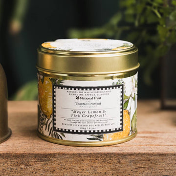Meyer Lemon & Pink Grapefruit Candle in a Matt Gold Tin