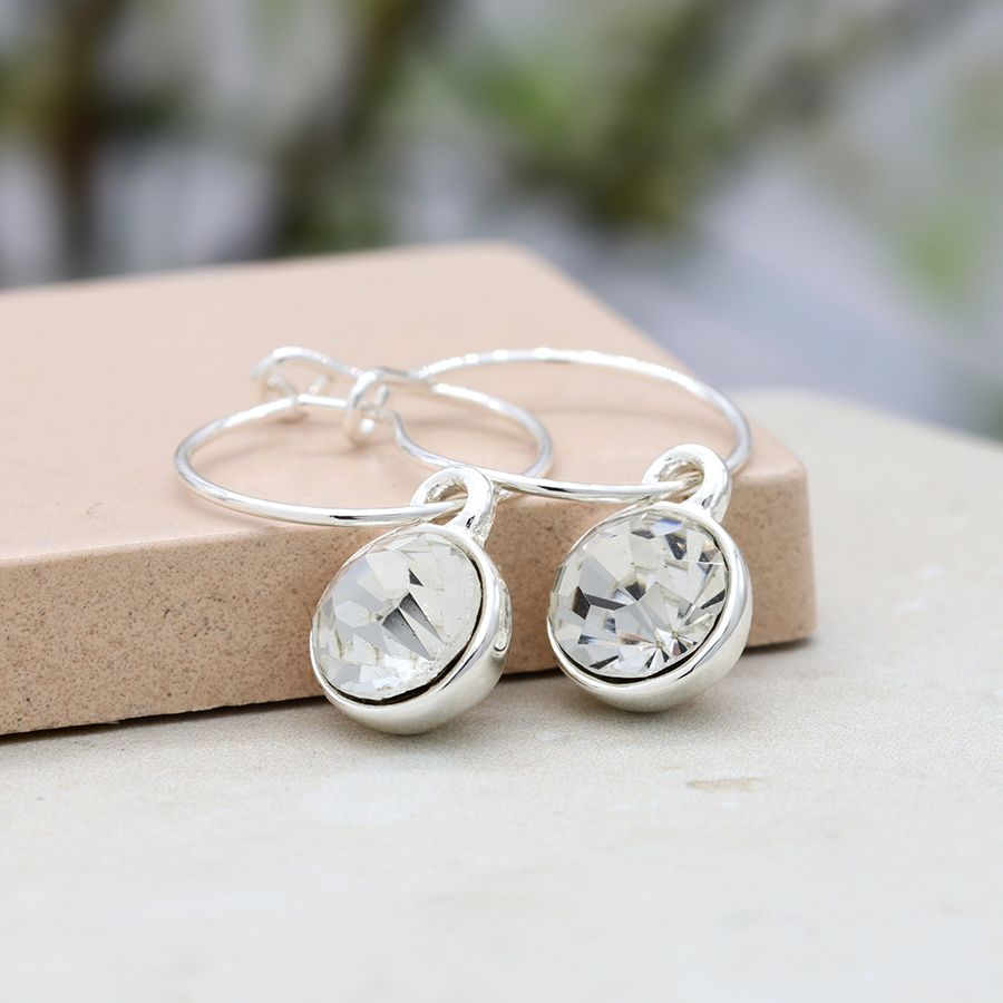 Silver plated hoop and round backed crystal earrings