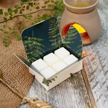 Woodland Fern & Oakmoss Soy Wax Melts (Fern Collection)