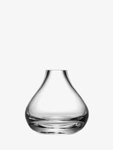 Load image into Gallery viewer, Flower Sprig Vase H11cm Clear
