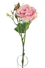 Load image into Gallery viewer, Rose Stem single plus bud
