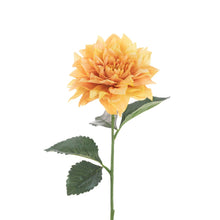 Load image into Gallery viewer, Juliet Dahlia
