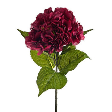 Luxury Large Hydrangea