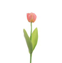 Load image into Gallery viewer, Faux Single Tulip 51cm
