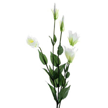 Load image into Gallery viewer, Lisianthus Spray
