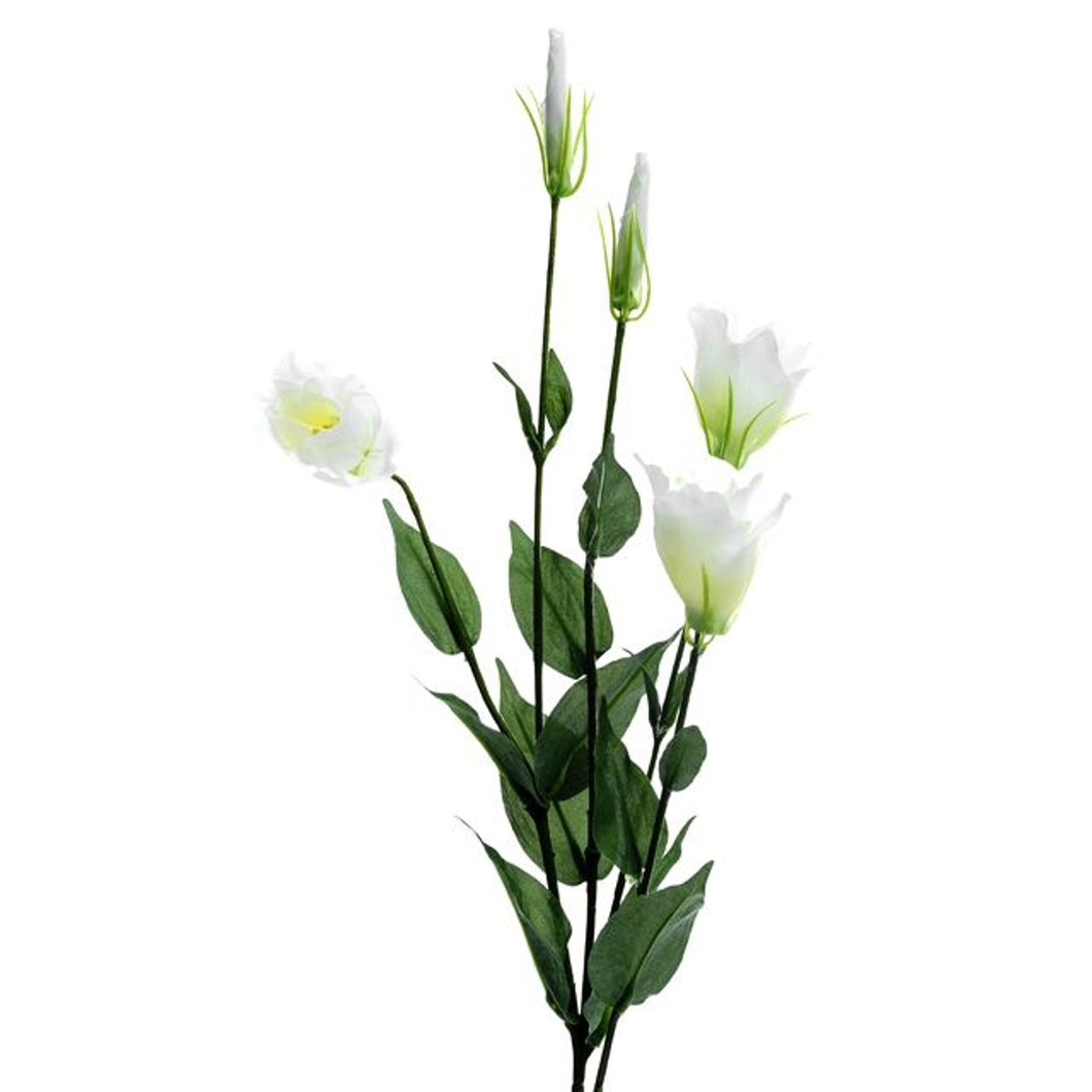 Lisianthus Spray