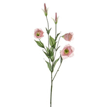 Load image into Gallery viewer, Lisianthus Spray
