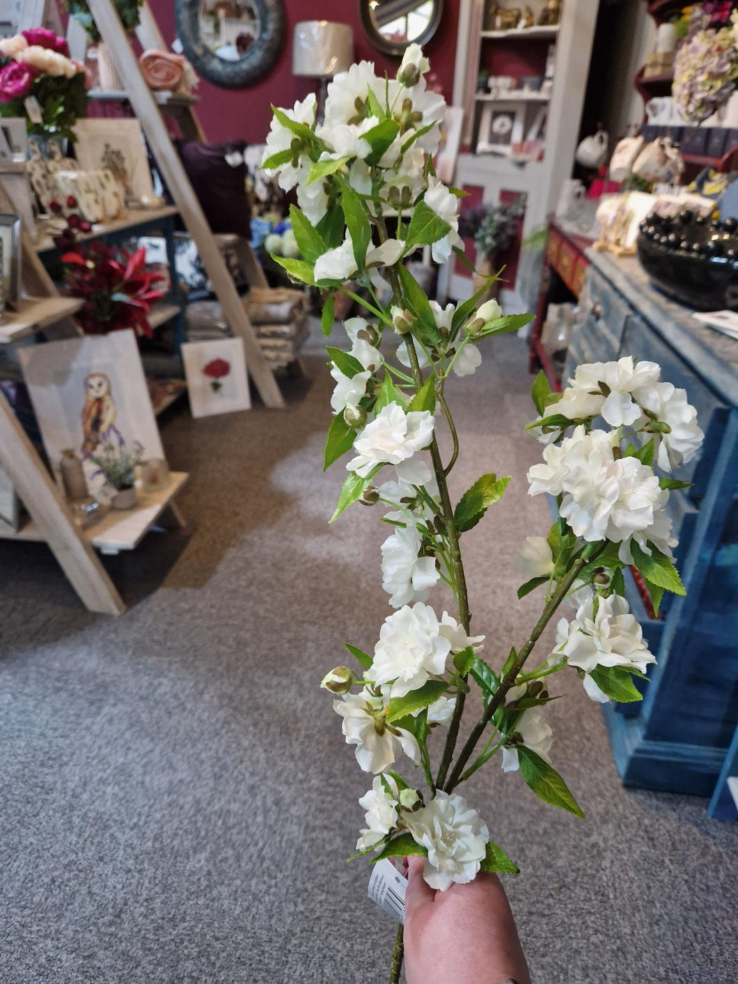 Large blossom stem