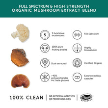 Load image into Gallery viewer, Mushroom 5 Blend – 9300mg – High Strength – 60 Capsules
