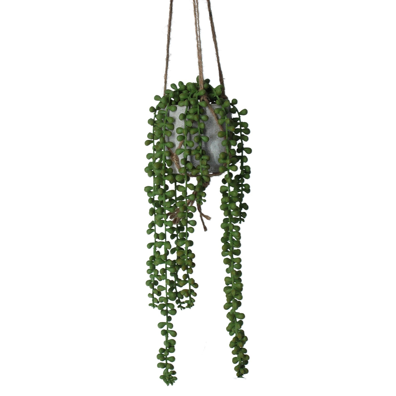 Hanging Pot Plant 43cm - String of Pearls