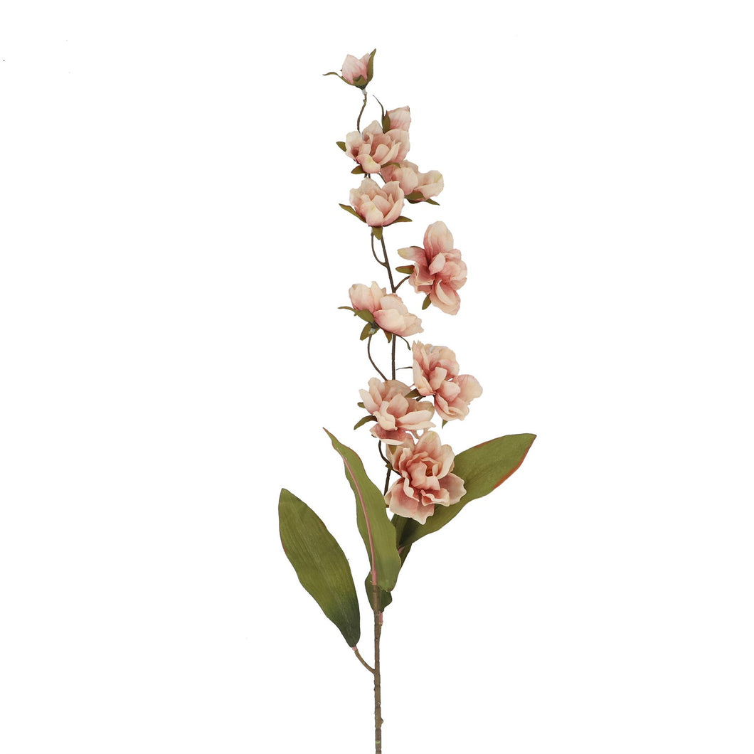 Antique Pink Mini Double Magnolia Stem 84cm