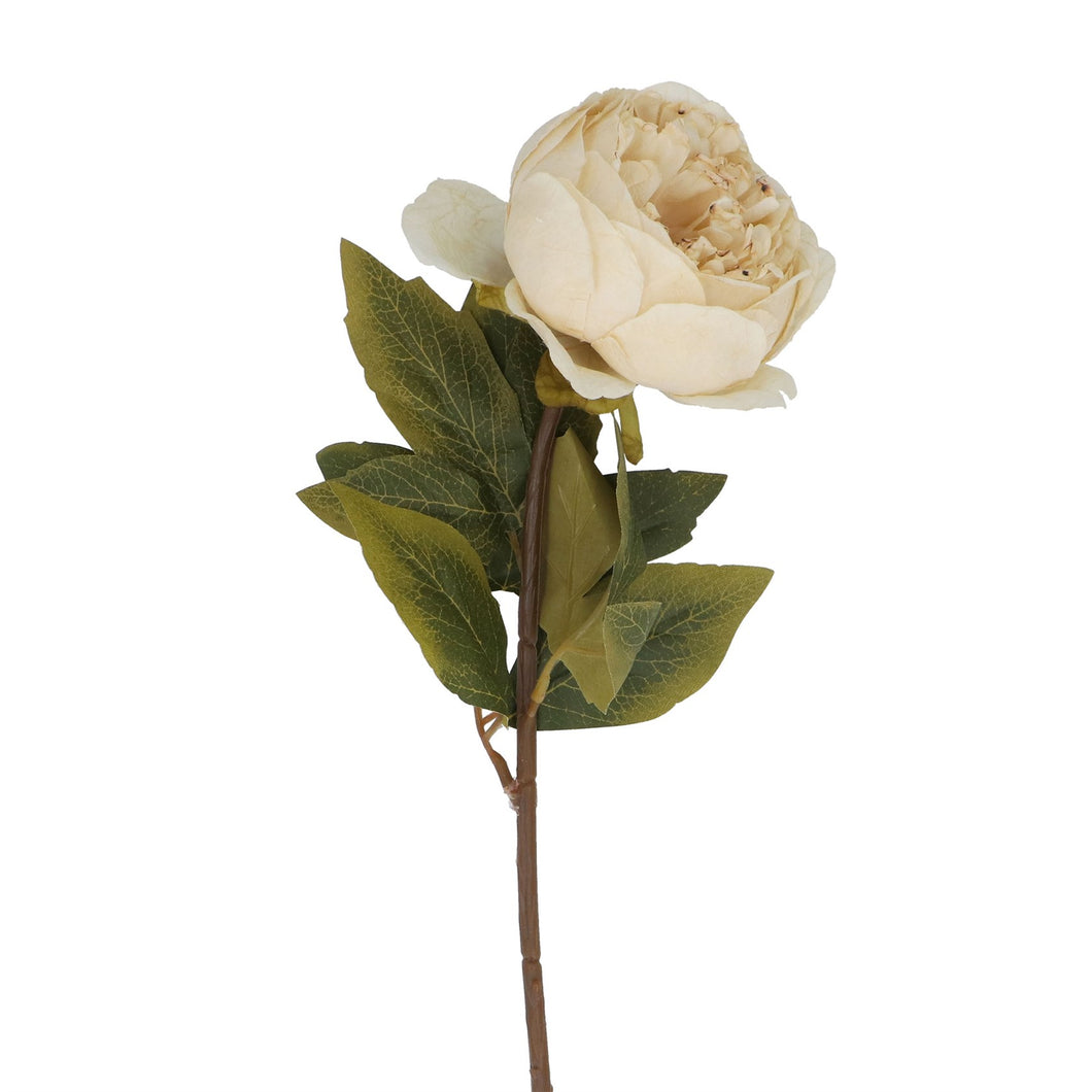 Antique Cream Peony - Spray 57cm