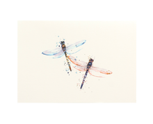Load image into Gallery viewer, Boxed Notecard Set with Dragonflies
