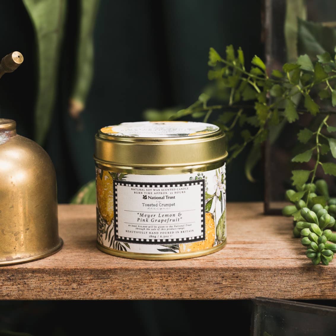 Meyer Lemon & Pink Grapefruit Candle in a Matt Gold Tin