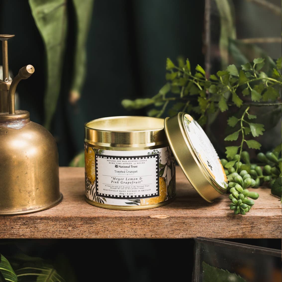 Meyer Lemon & Pink Grapefruit Candle in a Matt Gold Tin