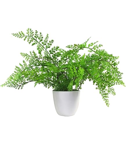 Potted Plant Faux Maiden Hair