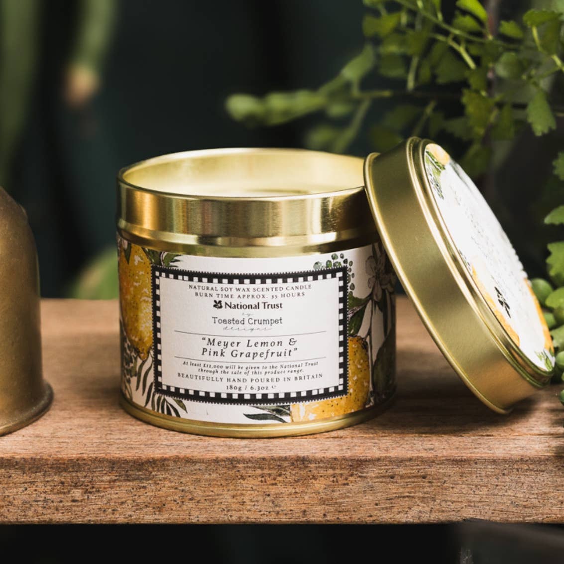 Meyer Lemon & Pink Grapefruit Candle in a Matt Gold Tin