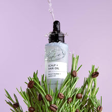 Load image into Gallery viewer, Upcircle I Scalp + Hair Oil Treatment - heat damage, growth, split ends
