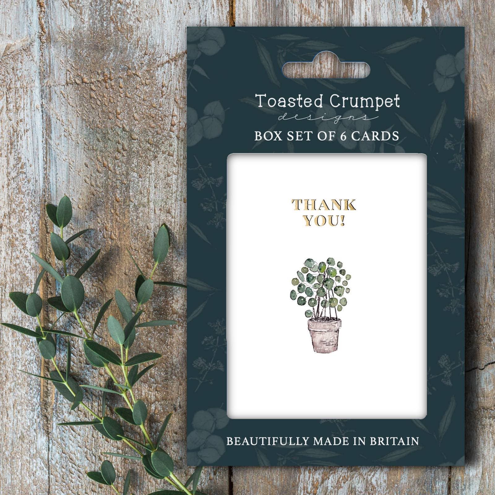 Thank You (Pot Plant) Set of 6 Cards
