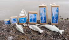 Load image into Gallery viewer, Fish Soap on a Rope in Box
