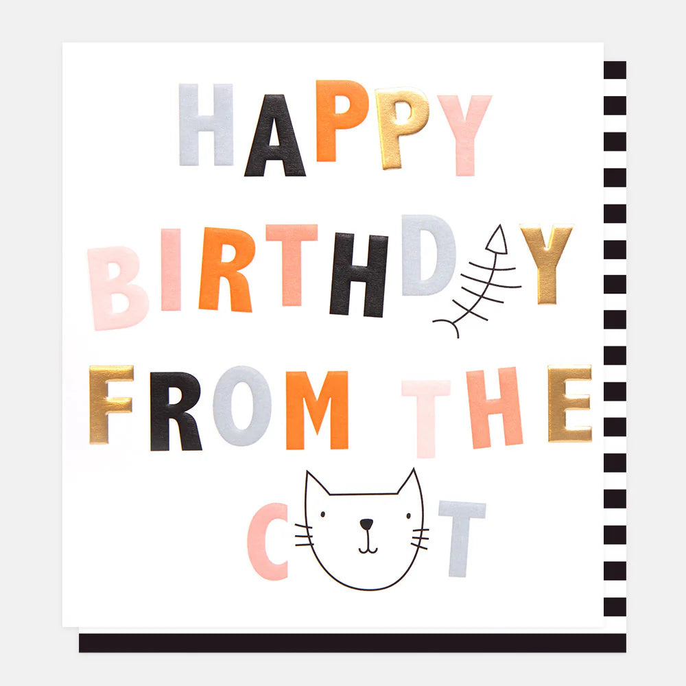 From The Cat Birthday Card