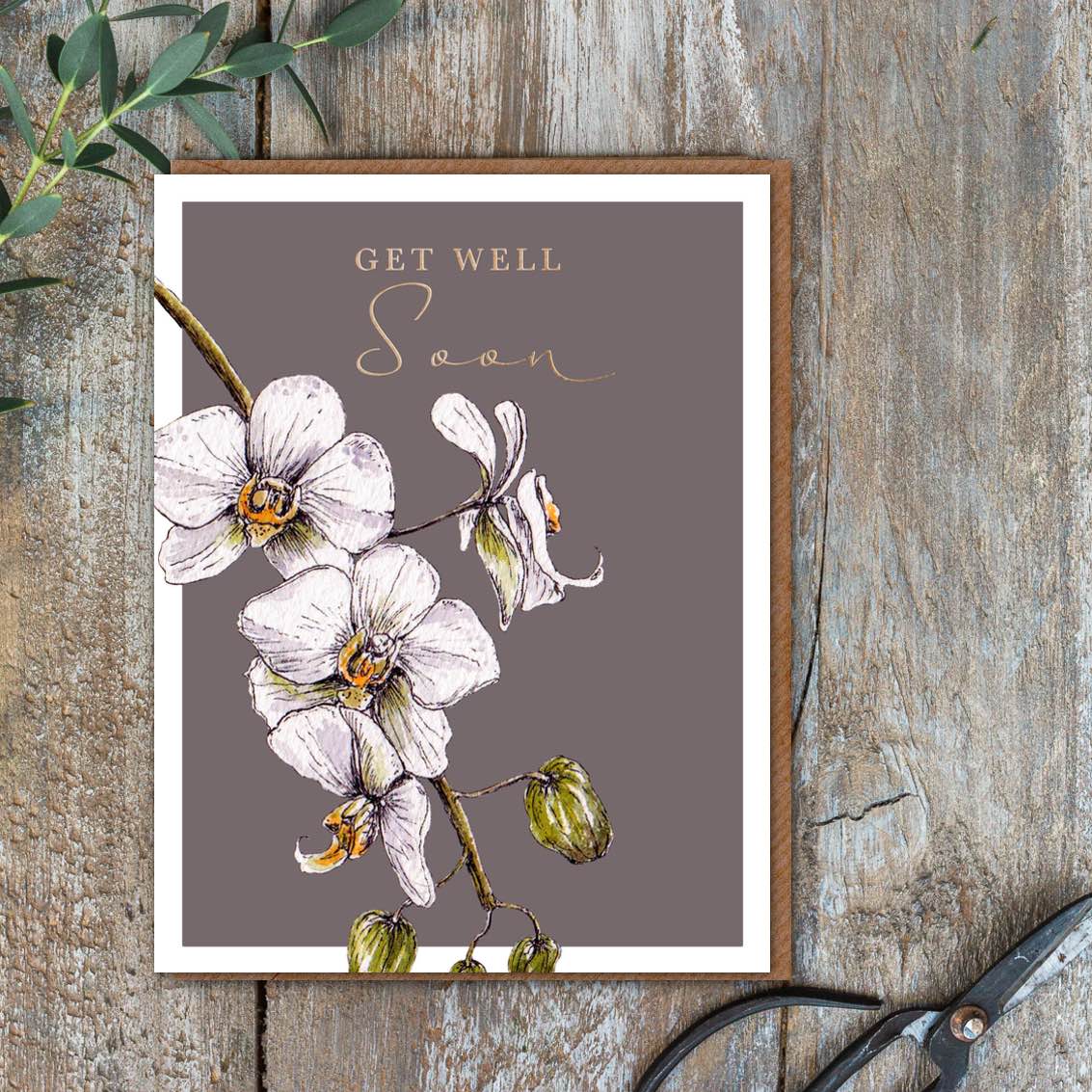 Get Well Soon (Cello-Free)