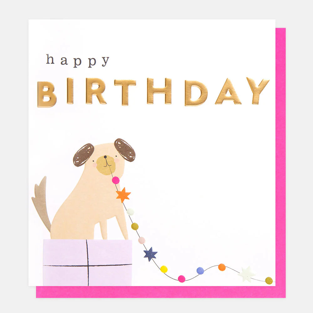 Dog On Present Birthday Card