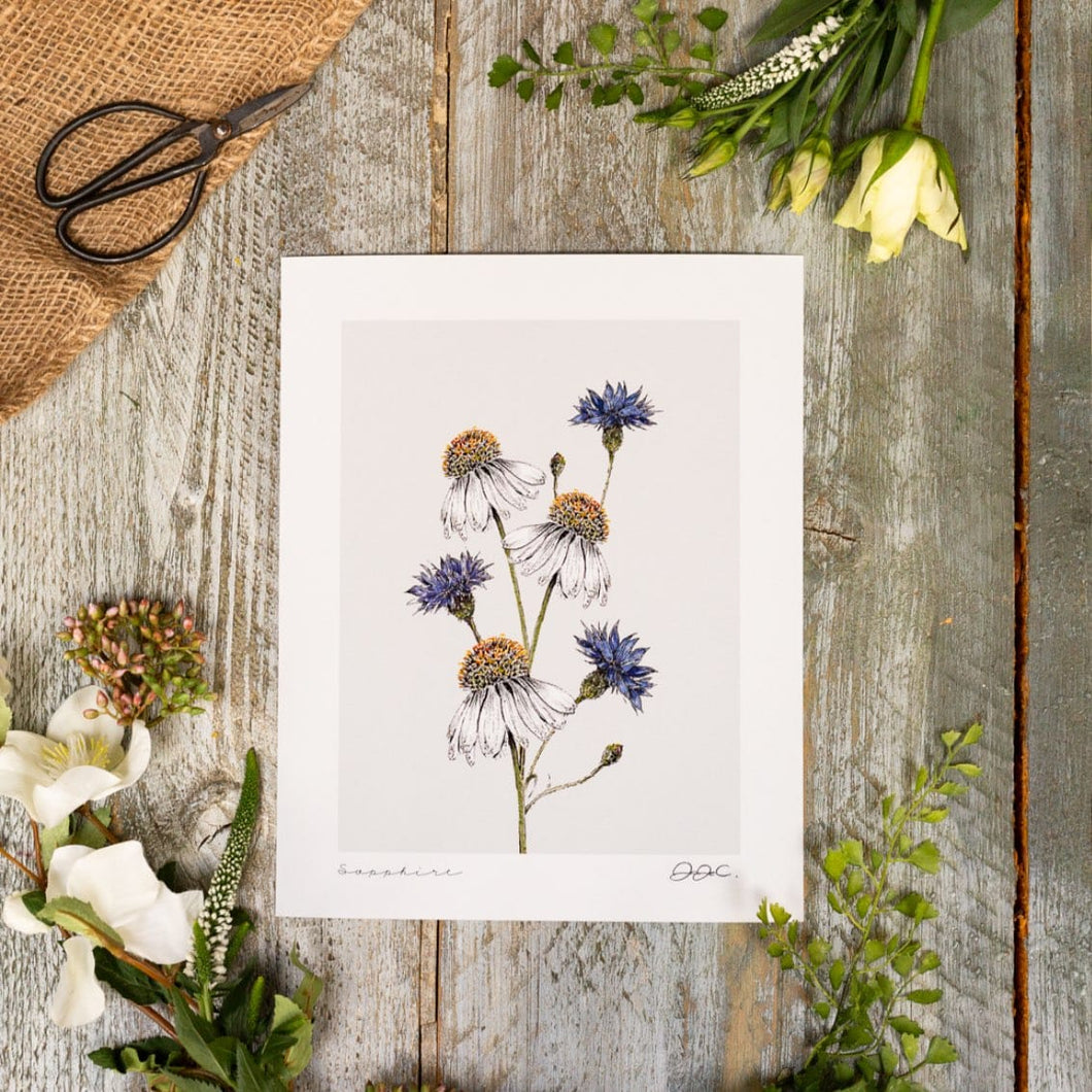 Sapphire 10×12″ Fine Art Print
