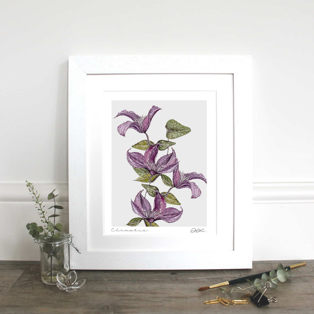 Clematis Mounted Fine Art Print