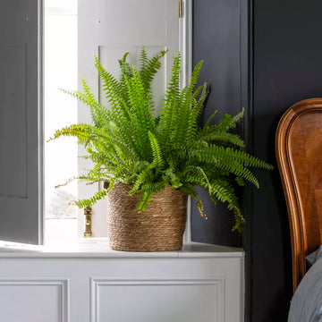 Seagrass Basket Planter Frill Edge Large