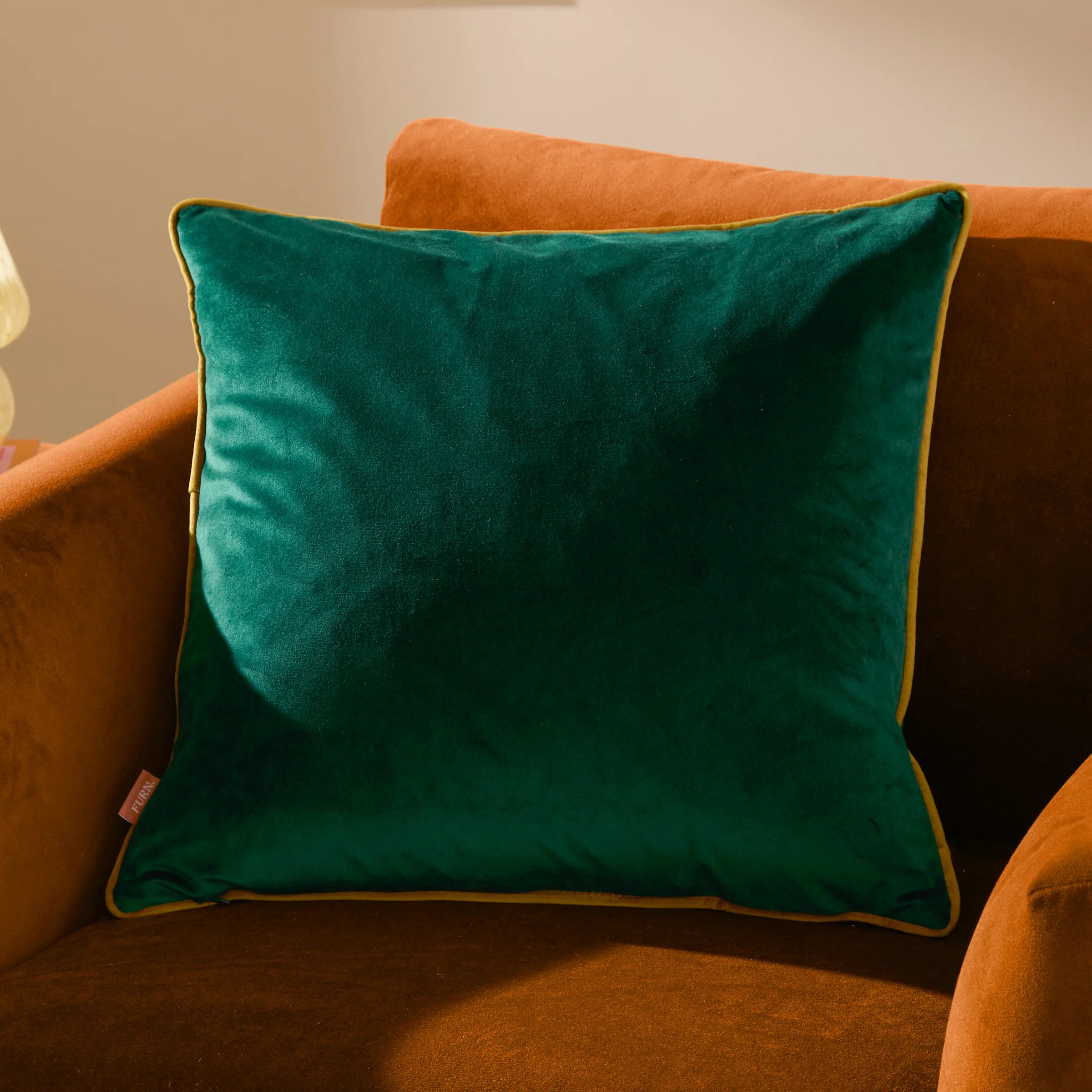 Meridian Velvet Cushion 55x55