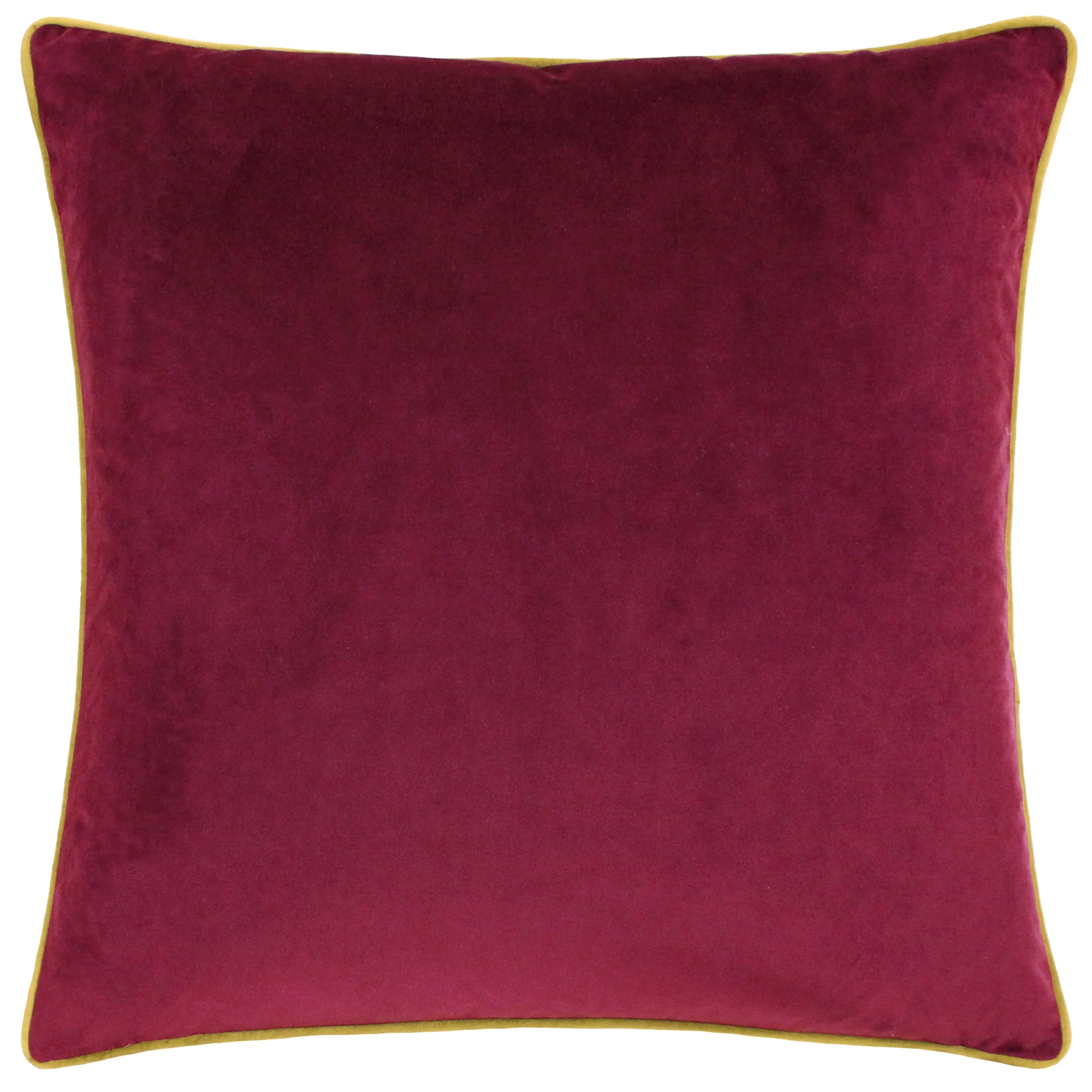Meridian Velvet Cushion 55x55