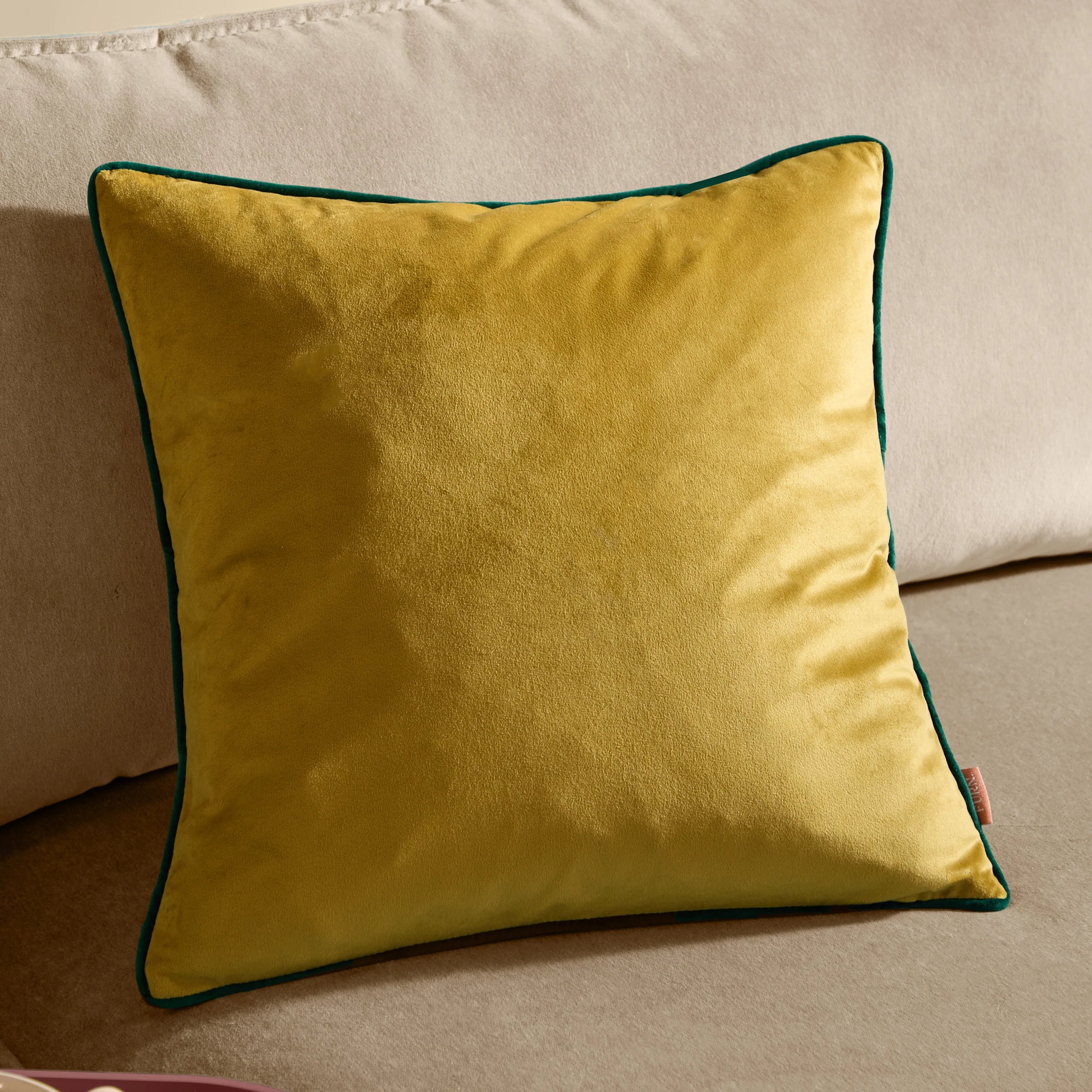 Meridian Velvet Cushion 55x55
