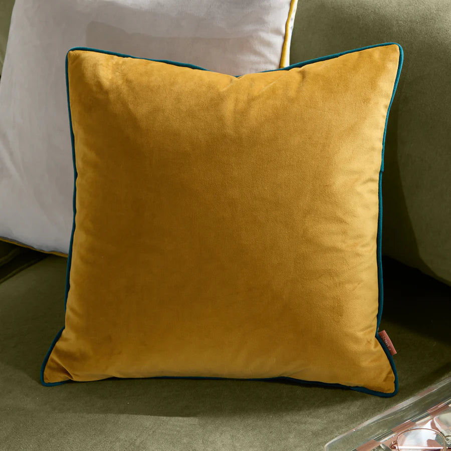 Meridian Velvet Cushion 55x55