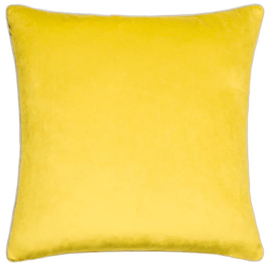 Meridian Velvet Cushion 55x55