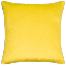Load image into Gallery viewer, Meridian Velvet Cushion
