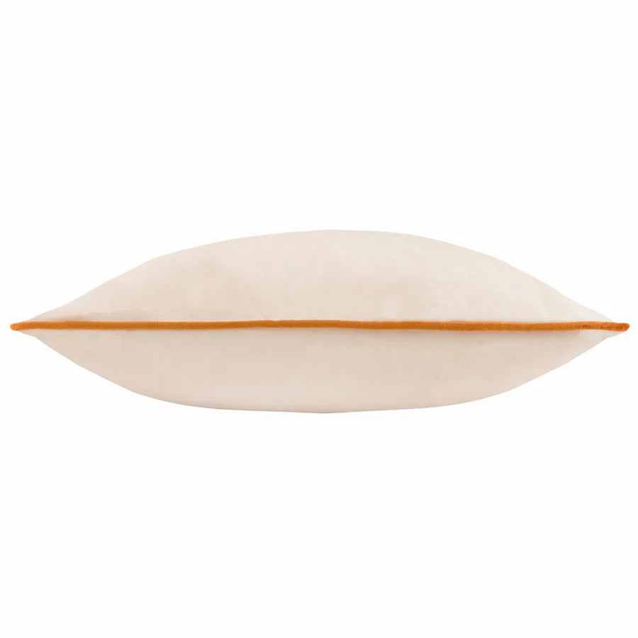 Meridian Velvet Cushion 55x55