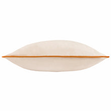 Load image into Gallery viewer, Meridian Velvet Cushion
