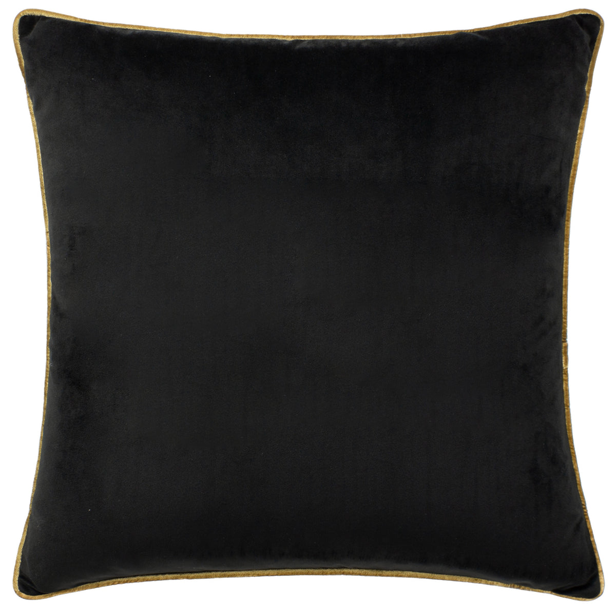 Velvet cushions with colour coordinating piping from Paoletti